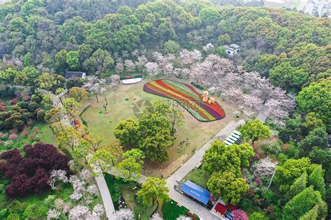 上方山|苏州上方山国家森林公园